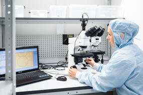 Сотрудник за работой